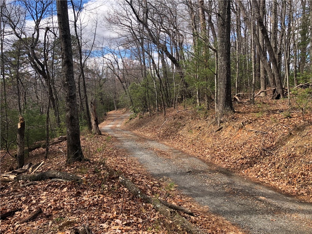 Lot 21 Bobcat Mountain Road Purlear, NC 28665 - Photo 6 of 46 a view of outdoor space with trees