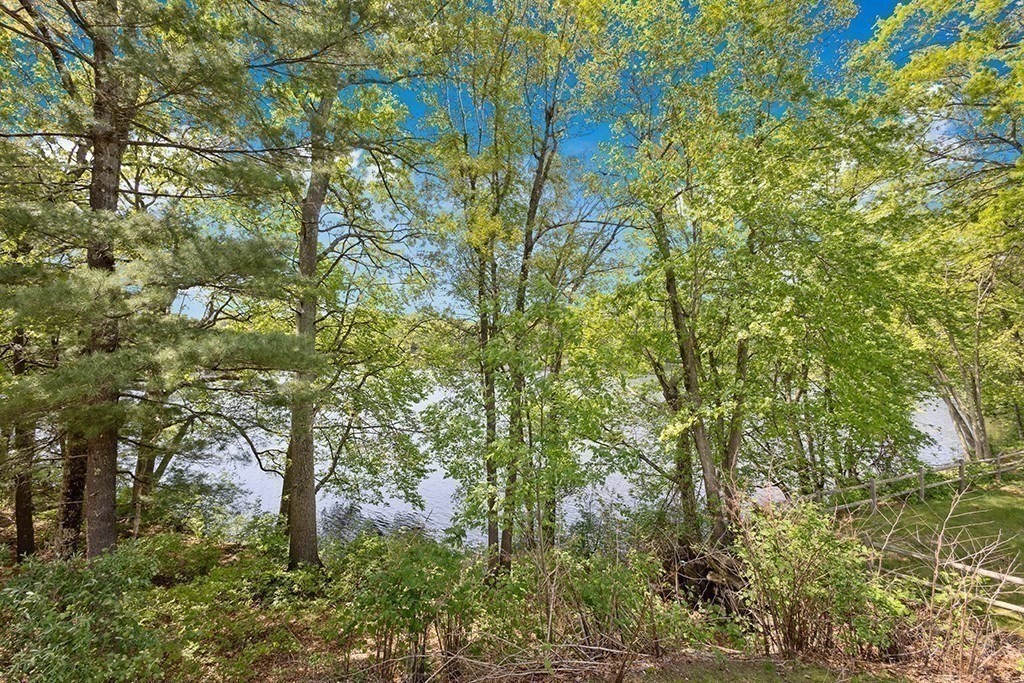 117 Oak Ridge Drive Ayer, MA 01432 - Photo 23 of 26 a view of a tree