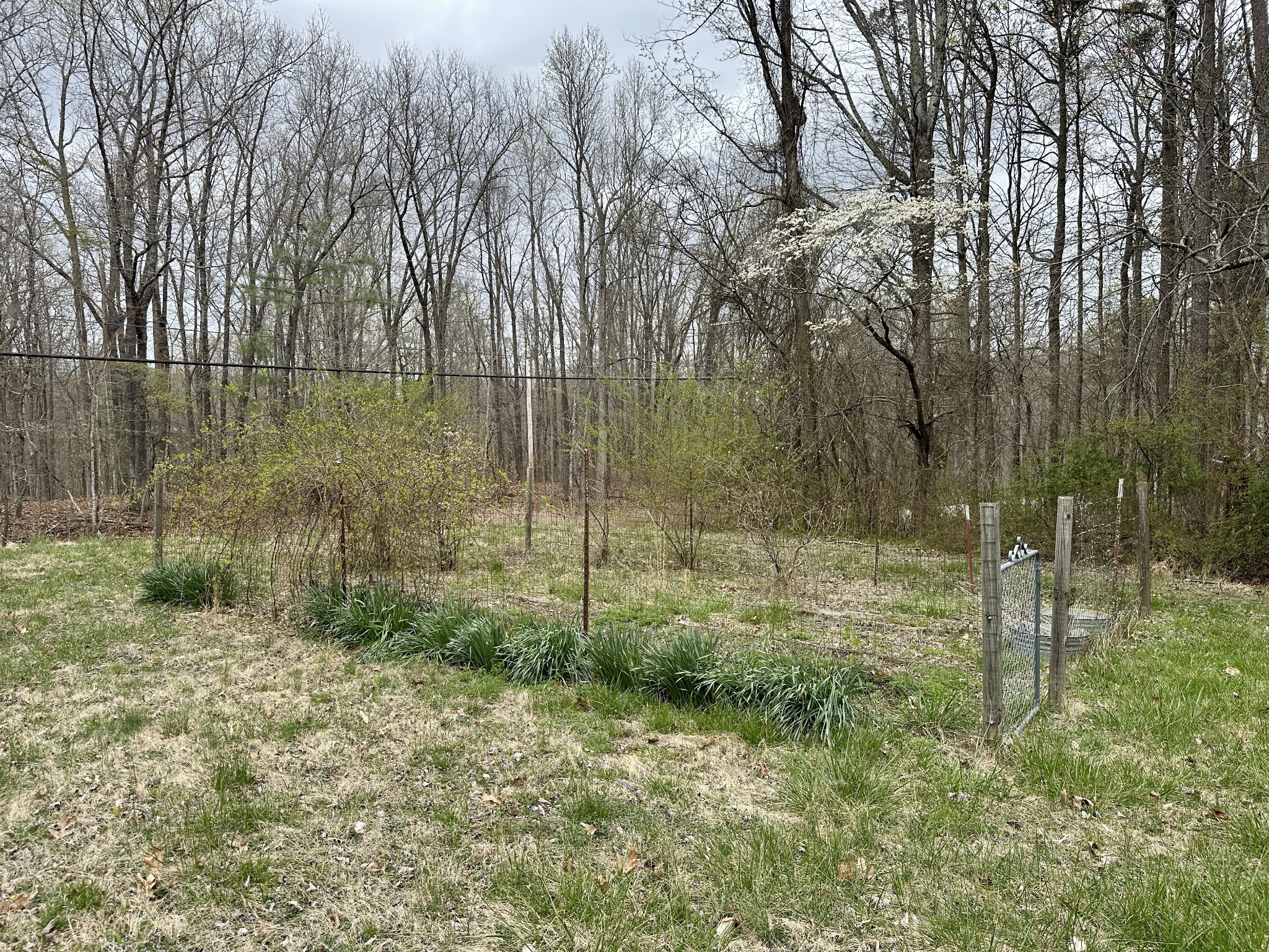 767 Sherwood Road Sewanee, TN 37375 - Photo 19 of 21