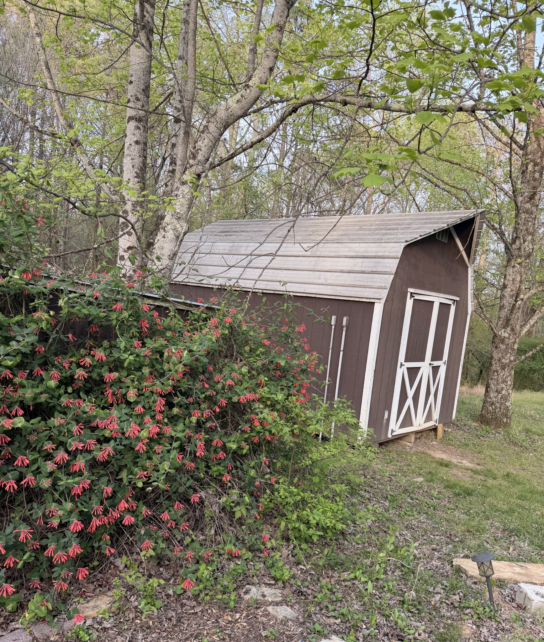 767 Sherwood Road Sewanee, TN 37375 - Photo 20 of 21