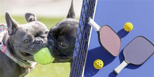 $1,461,148 | 13751 Pembroke Lane, Leawood, KS 66224