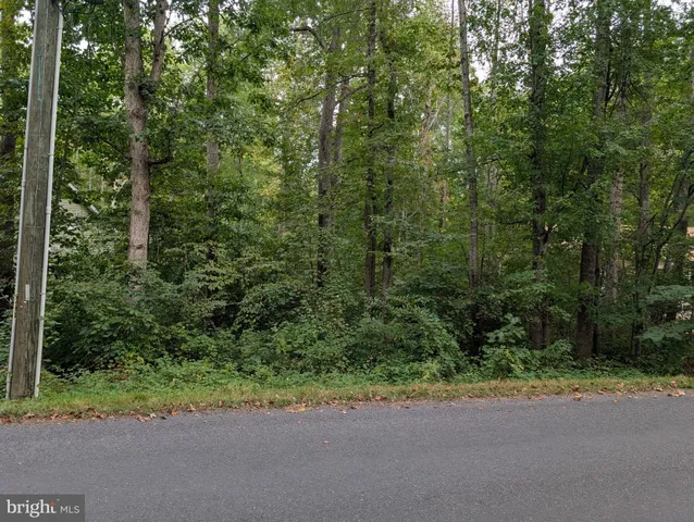 a view of a yard with a trees