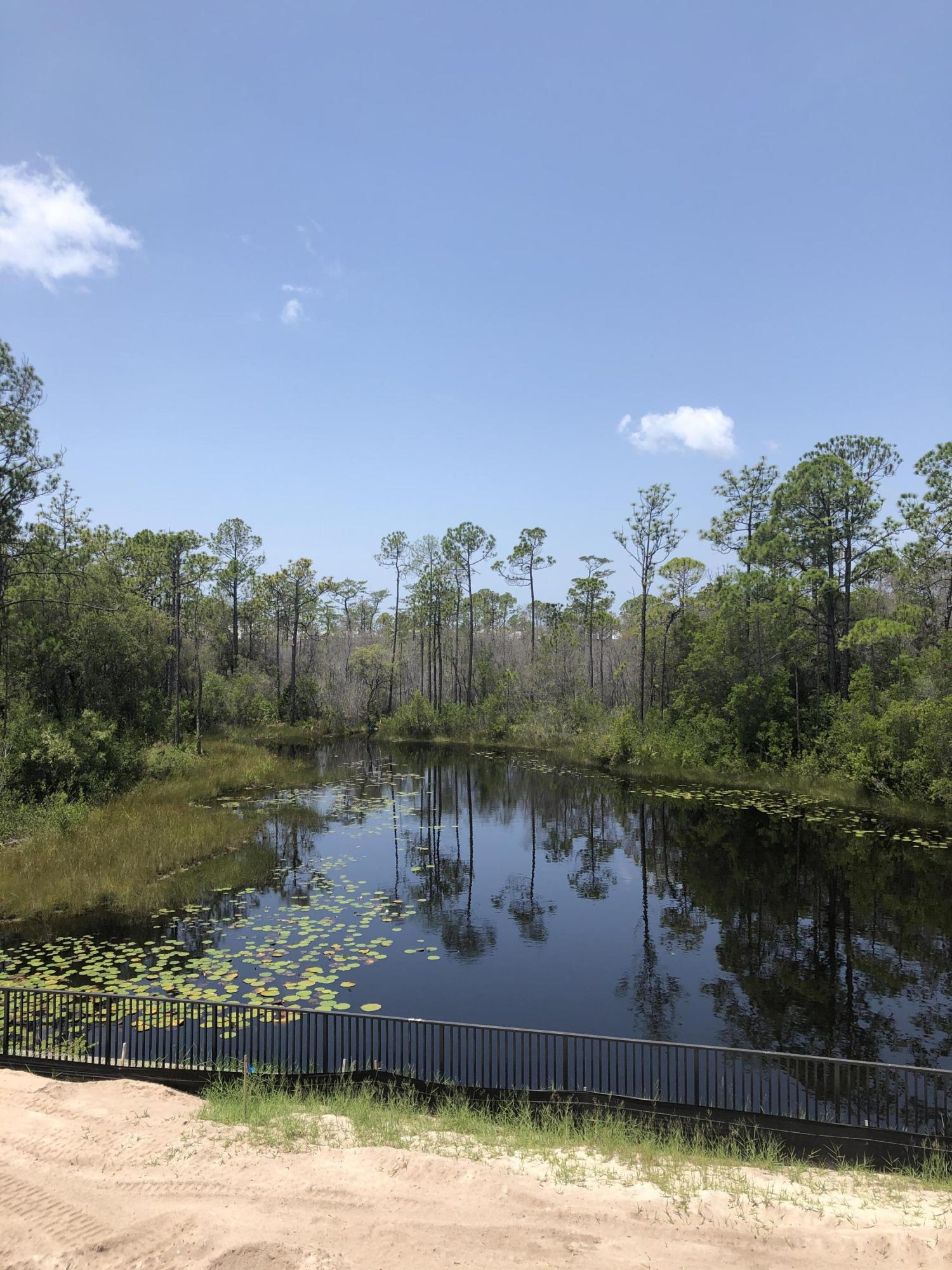 205 Prairie Pass, Unit LOT 267 Santa Rosa Beach, FL 32459 - Photo 4 of 24 267- pond behind