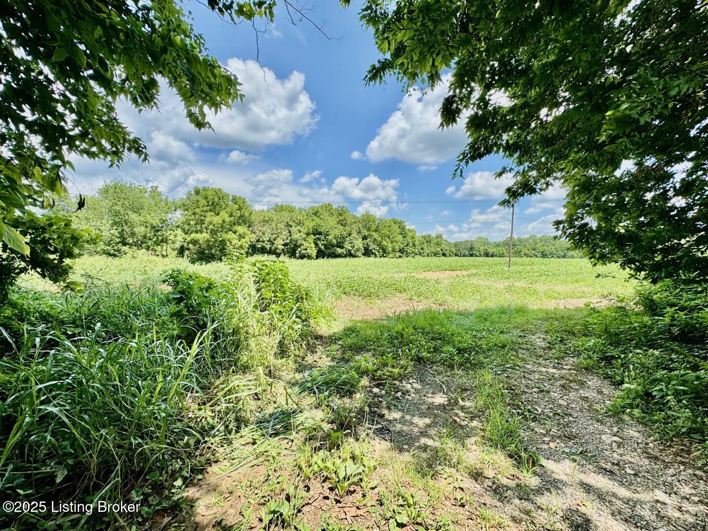 998 Grundy Home Road Springfield, KY 40069 - Photo 7 of 8 27ac (3)