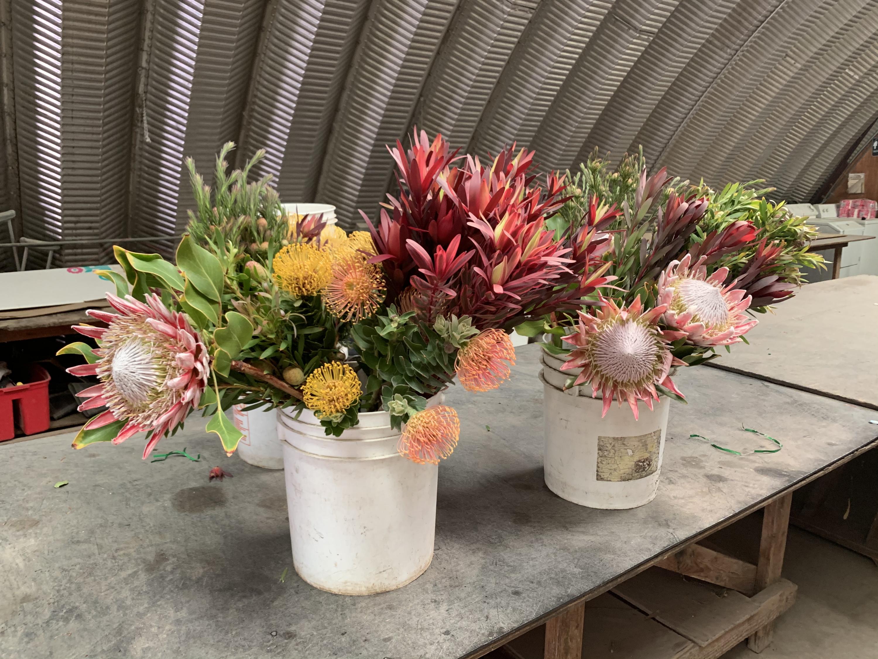 71 Hollister Ranch Road Lompoc, CA 93436 - Photo 28 of 31 a vase of flowers sitting on a table