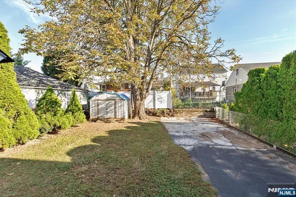a view of a yard with plants and trees