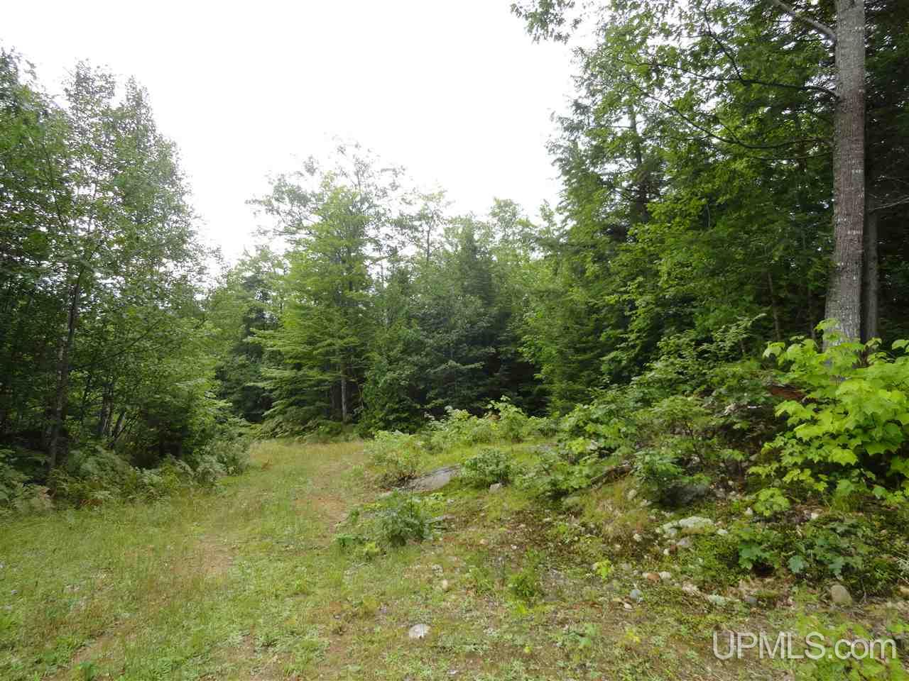 510 Rd Marquette Mi 49855 Road Negaunee, MI 49866 - Photo 3 of 26