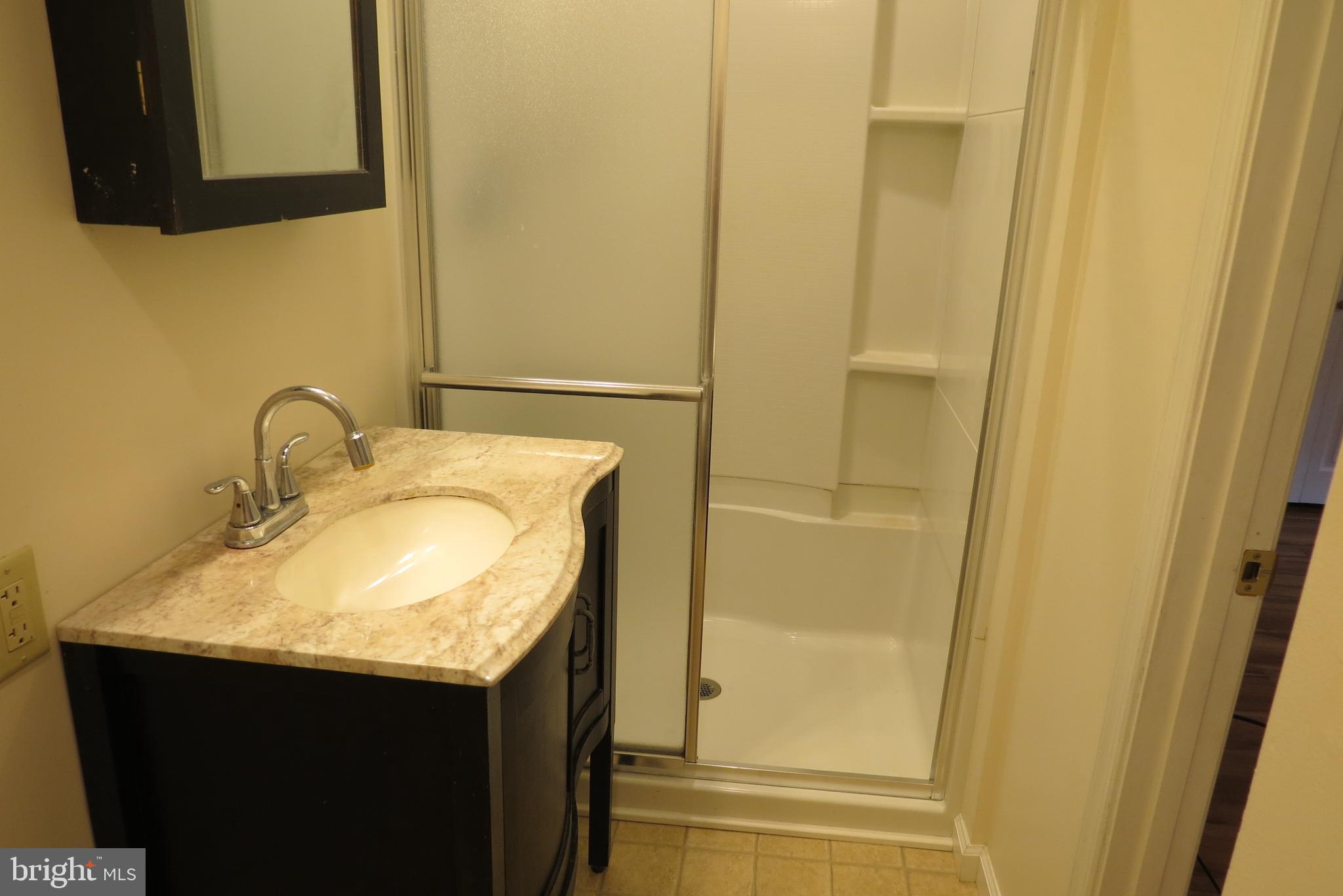 4822 Ridge Road Mount Airy, MD 21771 - Photo 22 of 38 Owner's bathroom with large shower