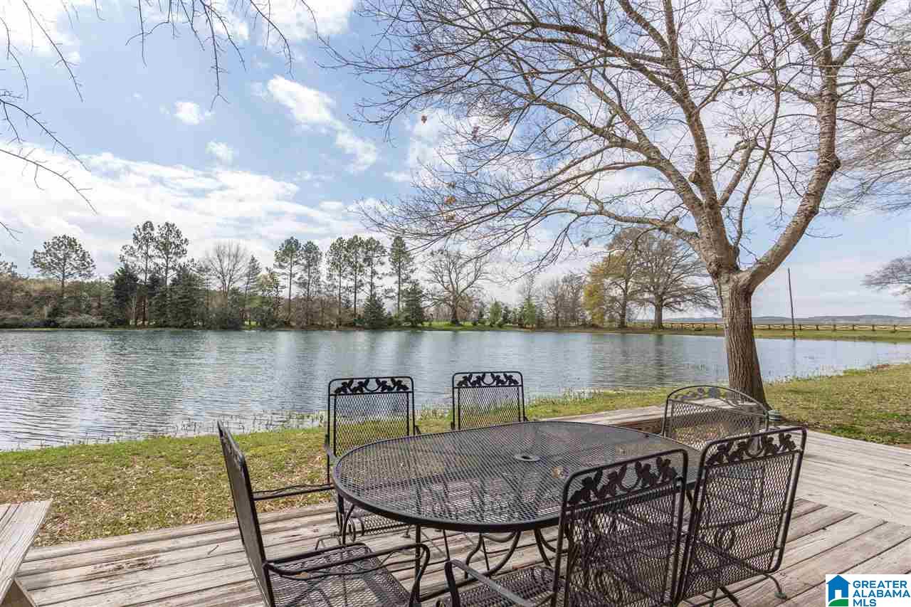 73 Curry Station Road Munford, AL 36268 - Photo 41 of 48