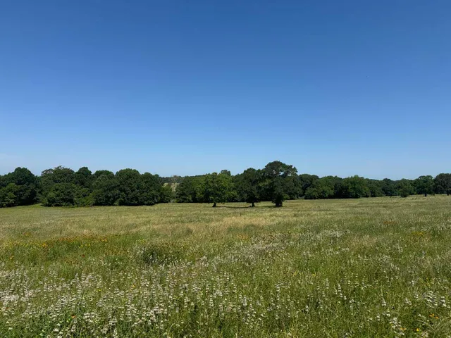 a view of a field with an ocean