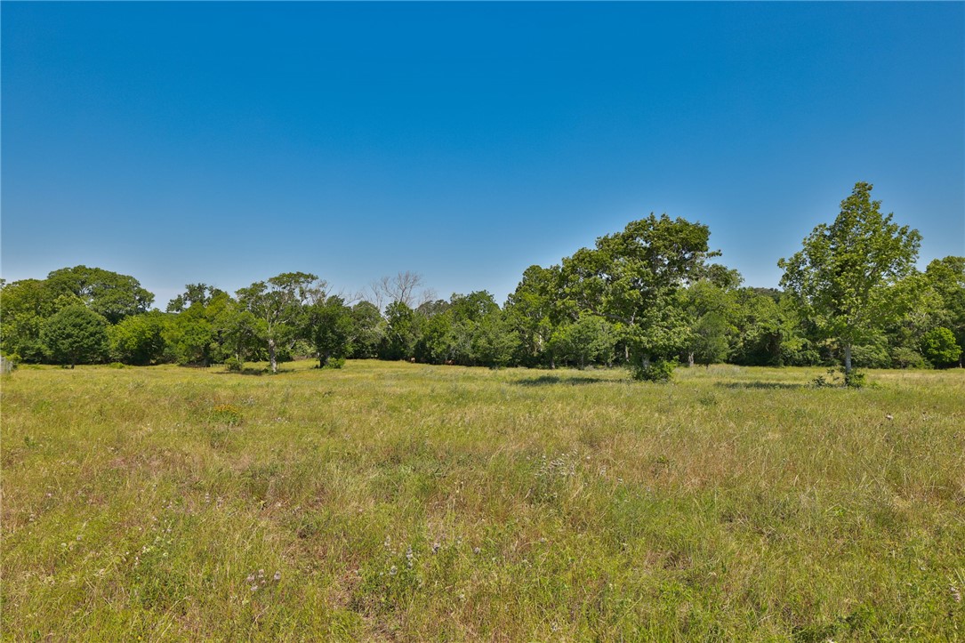 305 County Road 305 Navasota, TX 77868 - Photo 15 of 19