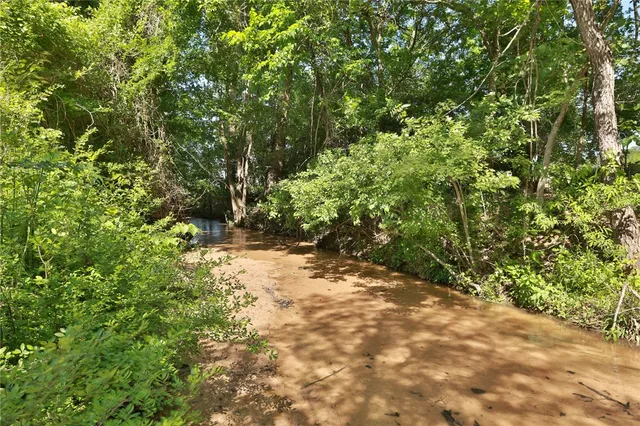 a view of a tree with a yard