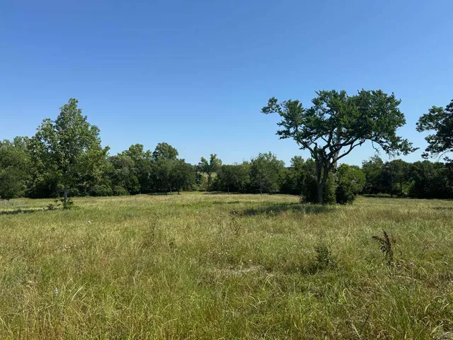 a view of field with trees in the background