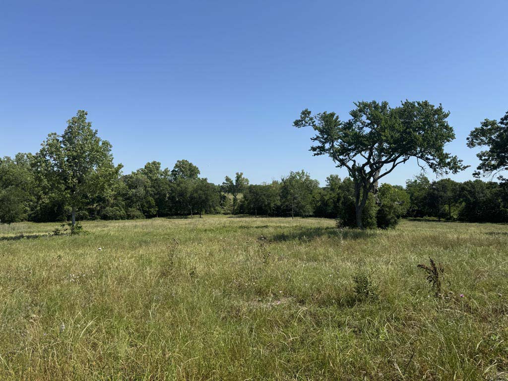 305 County Road 305 Navasota, TX 77868 - Photo 2 of 19 a view of field with trees in the background
