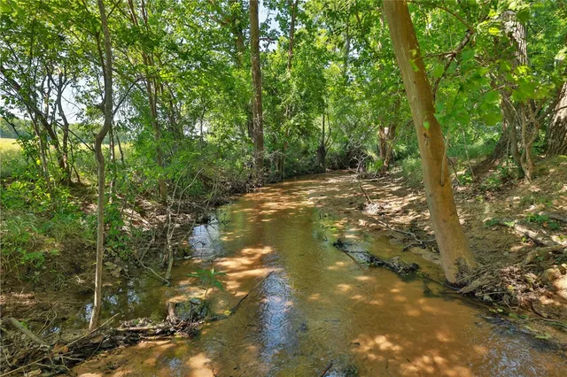 a view of a tree in a yard