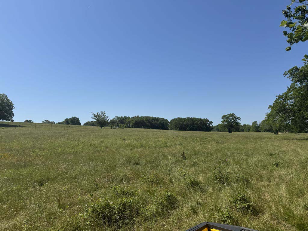 305 County Road 305 Navasota, TX 77868 - Photo 8 of 19 a view of a field with an ocean