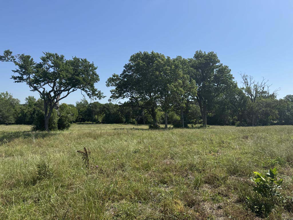305 County Road 305 Navasota, TX 77868 - Photo 9 of 19 a view of outdoor space and yard
