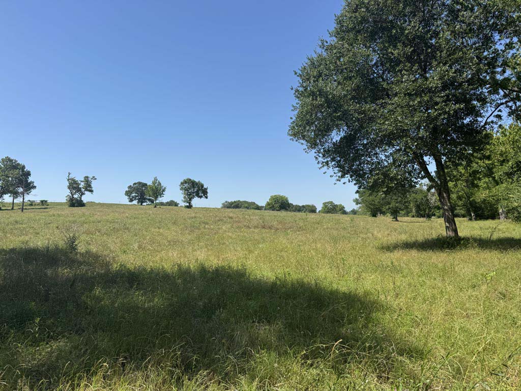 305 County Road 305 Navasota, TX 77868 - Photo 10 of 19 a view of lake view and mountain view
