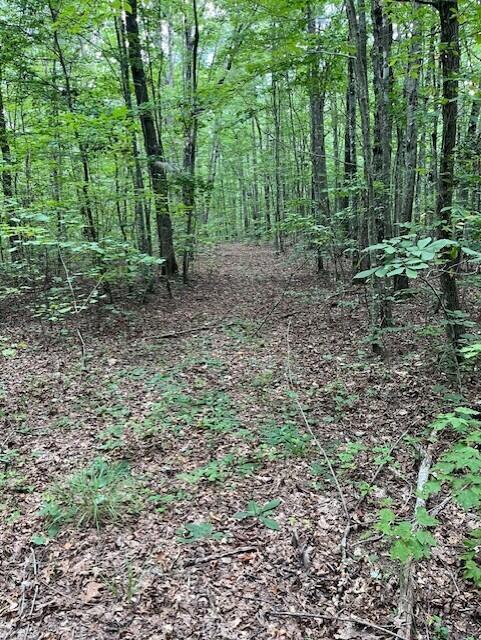 123 Retro Hughes Road Graysville, TN 37338 - Photo 11 of 26 11