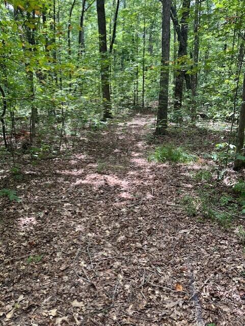 123 Retro Hughes Road Graysville, TN 37338 - Photo 12 of 26 12