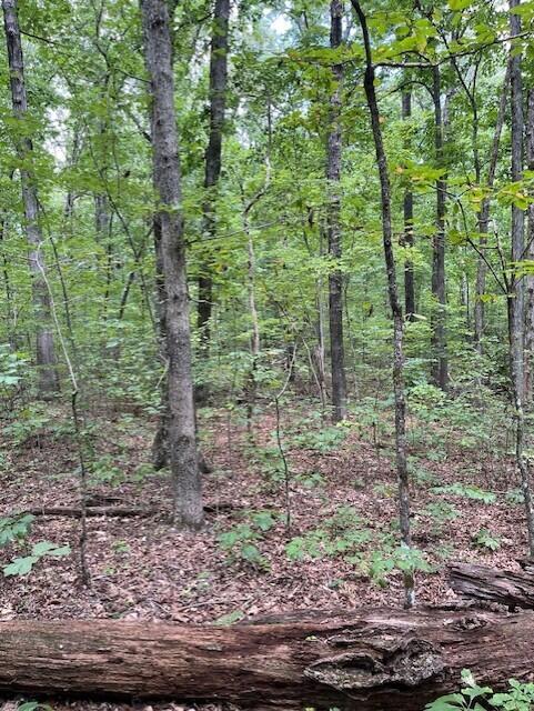 123 Retro Hughes Road Graysville, TN 37338 - Photo 13 of 26 13