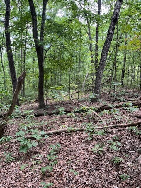 123 Retro Hughes Road Graysville, TN 37338 - Photo 15 of 26 15