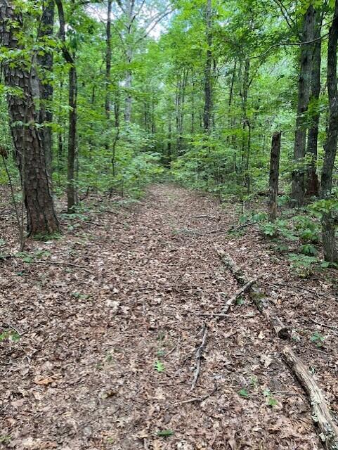 123 Retro Hughes Road Graysville, TN 37338 - Photo 16 of 26 16