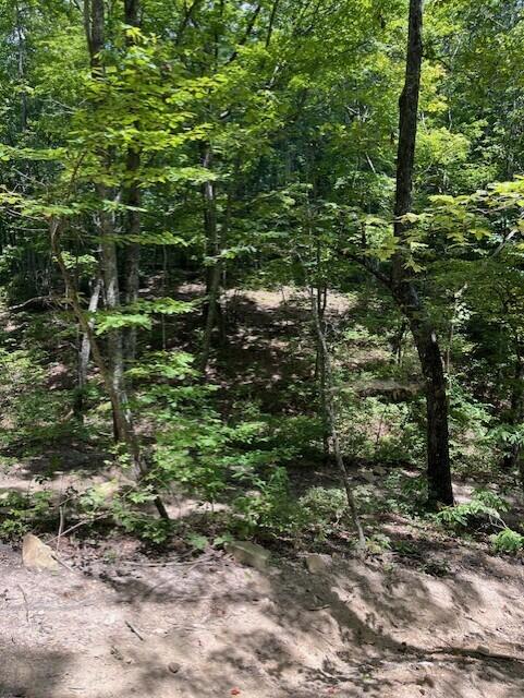 123 Retro Hughes Road Graysville, TN 37338 - Photo 17 of 26 17