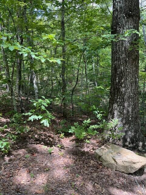 123 Retro Hughes Road Graysville, TN 37338 - Photo 18 of 26 18