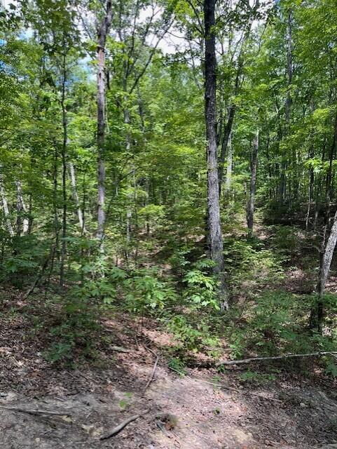 123 Retro Hughes Road Graysville, TN 37338 - Photo 19 of 26 19