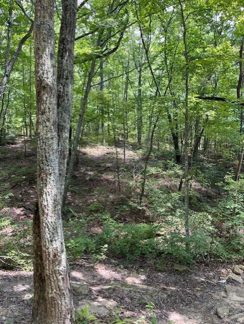 123 Retro Hughes Road Graysville, TN 37338 - Photo 20 of 26 20