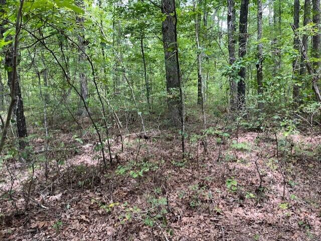 123 Retro Hughes Road Graysville, TN 37338 - Photo 21 of 26 21