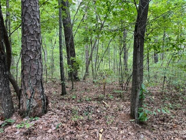 123 Retro Hughes Road Graysville, TN 37338 - Photo 22 of 26 22