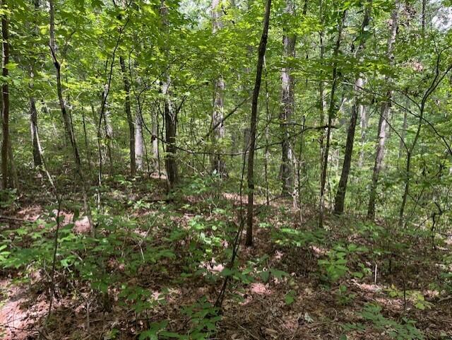 123 Retro Hughes Road Graysville, TN 37338 - Photo 24 of 26 24