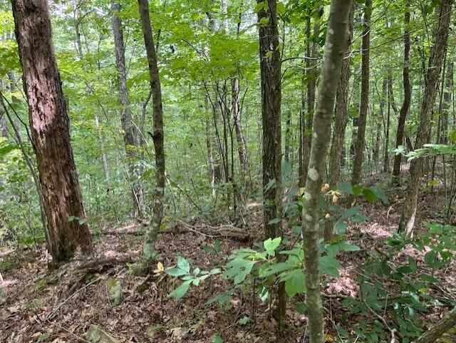 123 Retro Hughes Road Graysville, TN 37338 - Photo 25 of 26 25