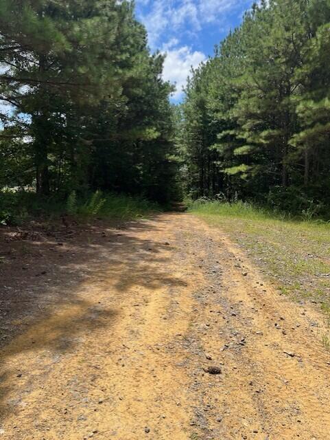 123 Retro Hughes Road Graysville, TN 37338 - Photo 3 of 26 2