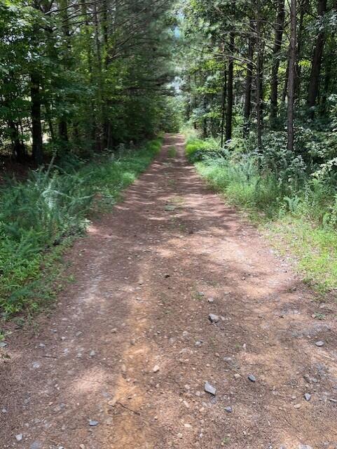 123 Retro Hughes Road Graysville, TN 37338 - Photo 4 of 26 3