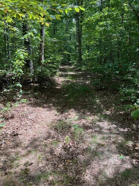 123 Retro Hughes Road Graysville, TN 37338 - Photo 5 of 26 5