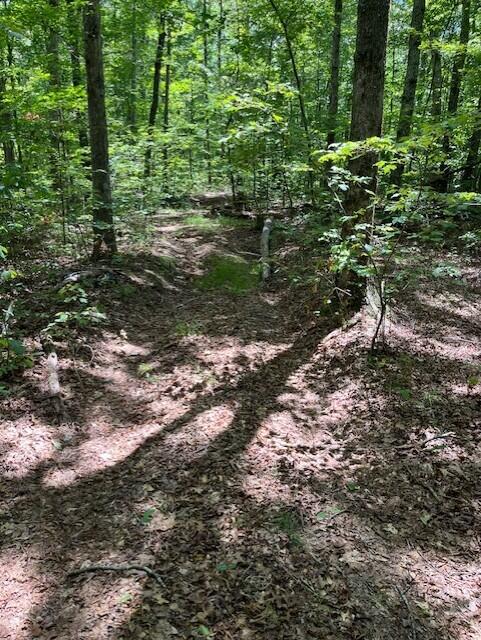 123 Retro Hughes Road Graysville, TN 37338 - Photo 6 of 26 6