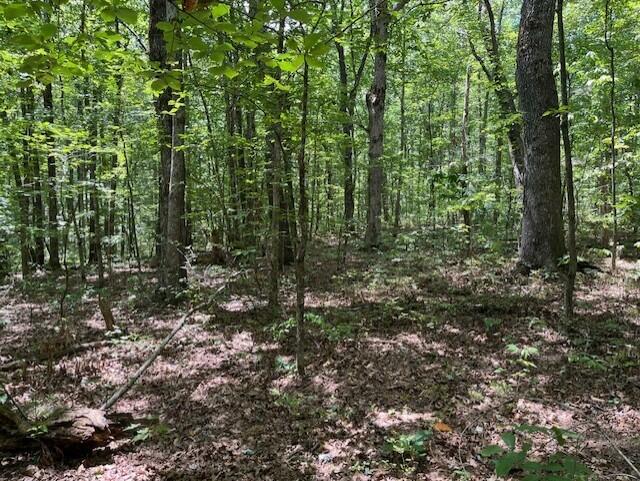 123 Retro Hughes Road Graysville, TN 37338 - Photo 7 of 26 7