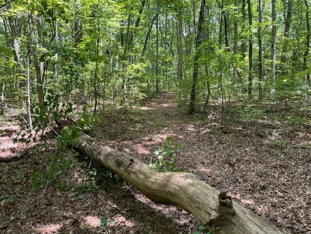 123 Retro Hughes Road Graysville, TN 37338 - Photo 8 of 26 8