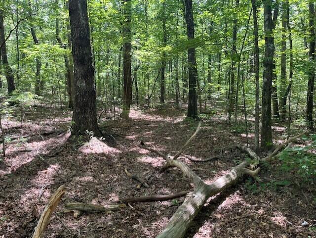 123 Retro Hughes Road Graysville, TN 37338 - Photo 9 of 26 9