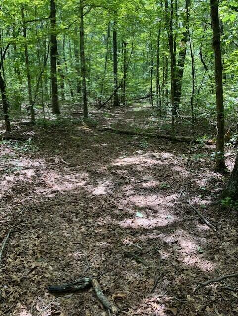 123 Retro Hughes Road Graysville, TN 37338 - Photo 10 of 26 10