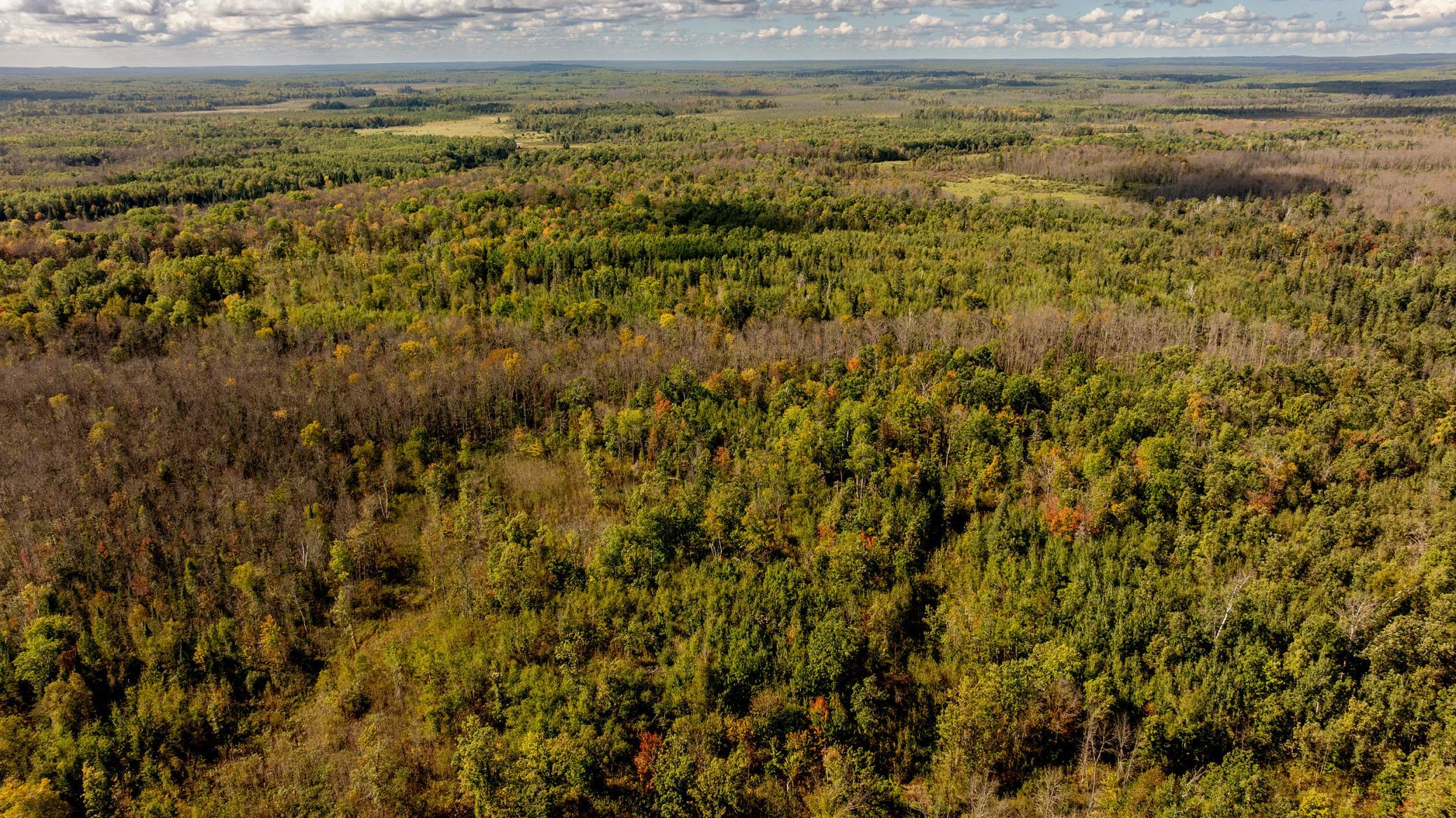 44047 Little Pine Road, Unit 568 ACRES Emily, MN 56447 - Photo 60 of 92
