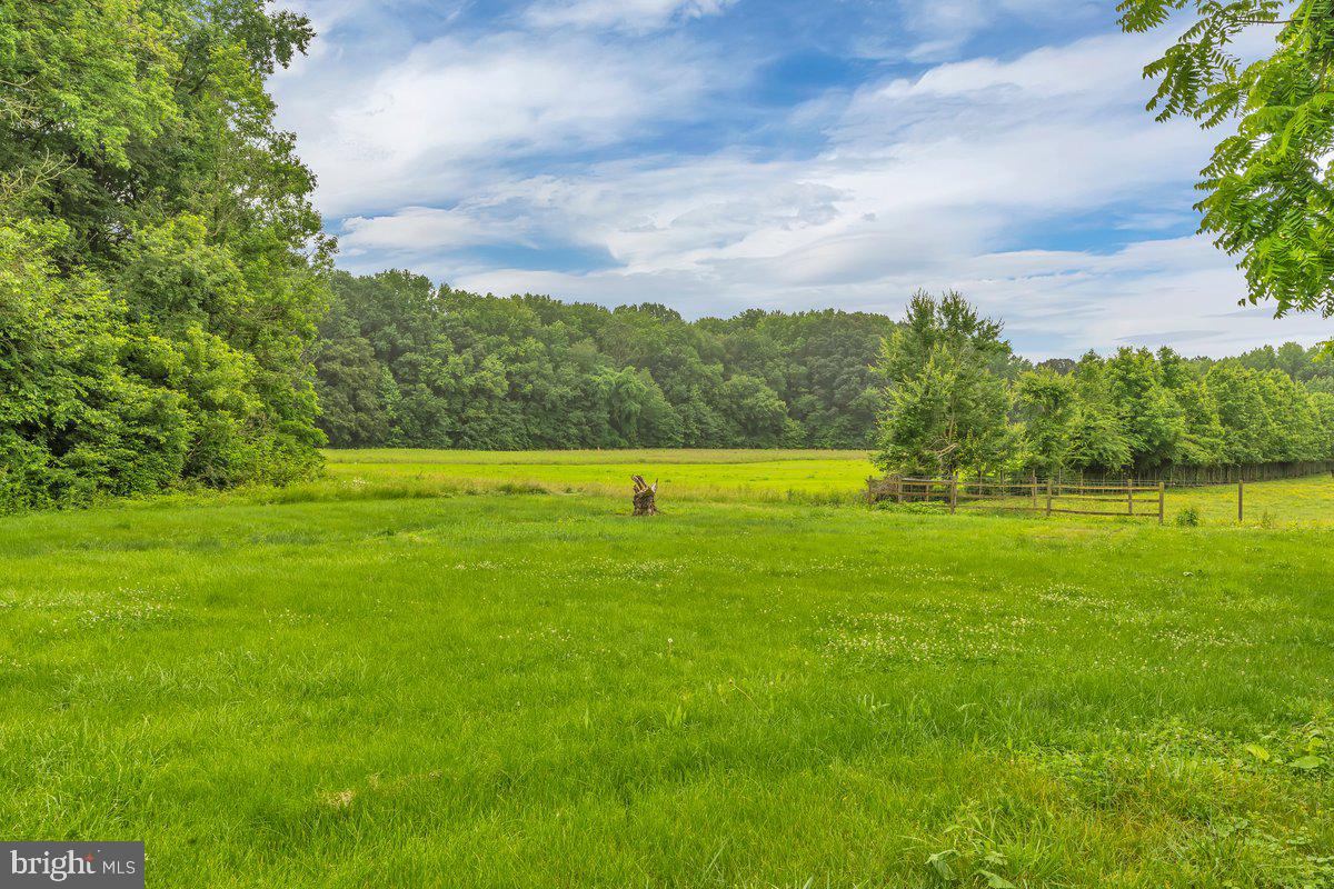 81 Cheney Road Woodstown, NJ 08098 - Photo 20 of 20