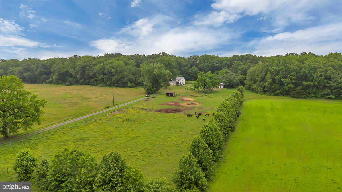 81 Cheney Road Woodstown, NJ 08098 - Photo 4 of 20