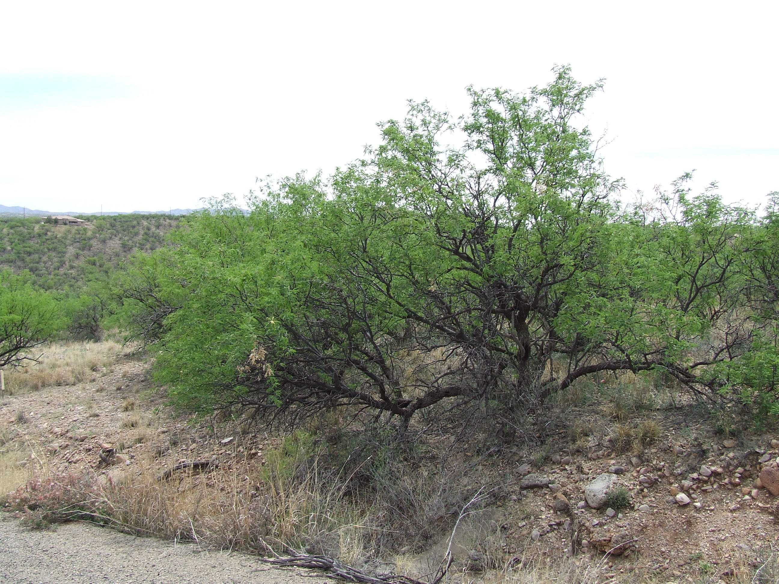 1230 Via Palestra Rio Rico, AZ 85648 - Photo 3 of 7