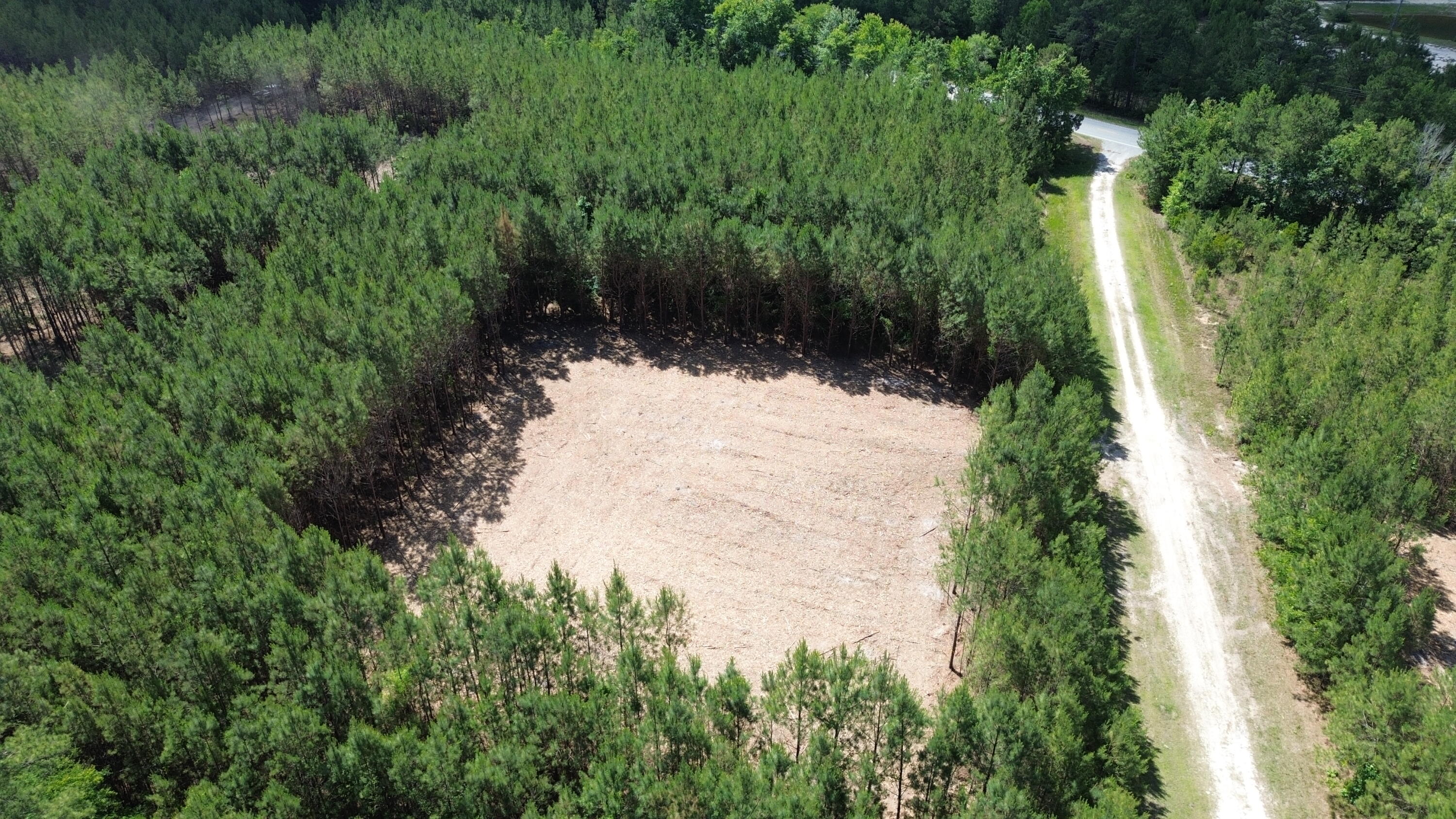 5 Highway 311 Cross, SC 29436 - Photo 1 of 11 DJI_0433