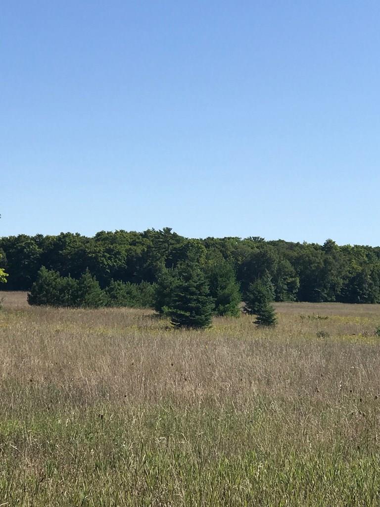 Tbd Europe Bay Road Ellison Bay, WI 54210 - Photo 1 of 1