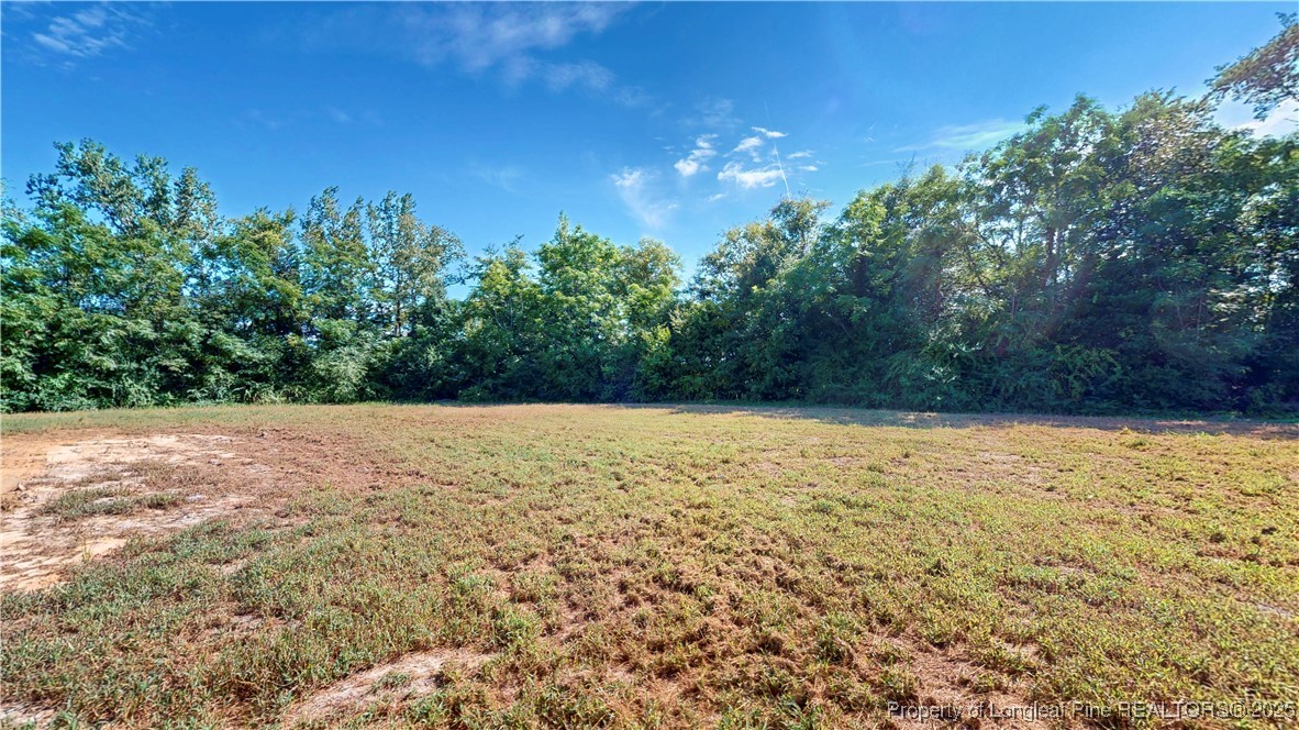 6580 Hasty Road Laurinburg, NC 28352 - Photo 25 of 26 Gallery Image 25